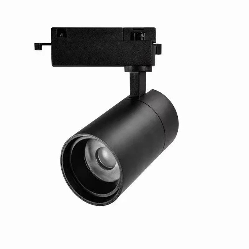 z5698204310501_961bc05feb9dce449269da29beb281a7