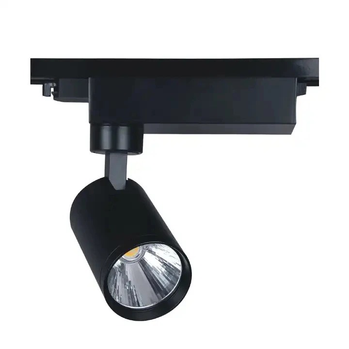 z5698237508878_2448f1fae54640d922d74cc6bf42fc51